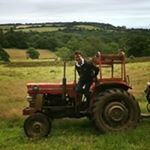 Profile Picture of Greg Neilson (@gregory__neilson) on Instagram