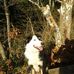 Profile Picture of William Chaplin (@william.chaplin.5099) on Facebook