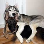 Profile Picture of Robert Holway (@robertholway) on Instagram