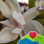 Profile Picture of Борис Кюпов (@Борис-Кюпов) on Facebook