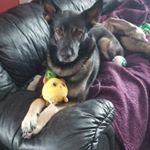 Profile Picture of sheila Lawrence (@sheilalawrence290) on Instagram