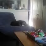 Profile Picture of Kevin Santorelli (@kevin.santorelli.9) on Facebook