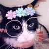 Profile Picture of Andrew Davy (@@andrewdavy0) on Tiktok