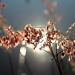 Profile Picture of Ana Di Berardo (@Anadi.) on Flickr