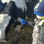 Profile Picture of Eric Ivarson (@ericivarson) on Instagram