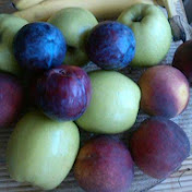 Tatia Mermanishvili - Youtube Profile Picture of Tatia Mermanishvili (@tatiamermanishvili3467) on Youtube