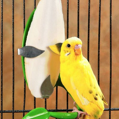 Profile Picture of Phoebe NG (@PhoebeNG18) on Twitter