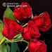 Profile Picture of Sima Patel (@Sima-Patel) on Facebook