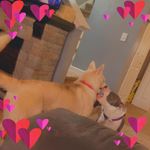 Profile Picture of Josh McGraw (@mcgraw_josh) on Instagram