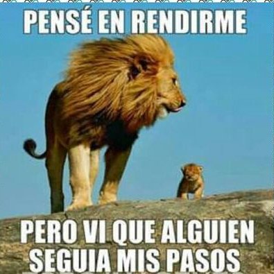 Profile Picture of Vladimir Silva (@vladimirsilva01) on Twitter