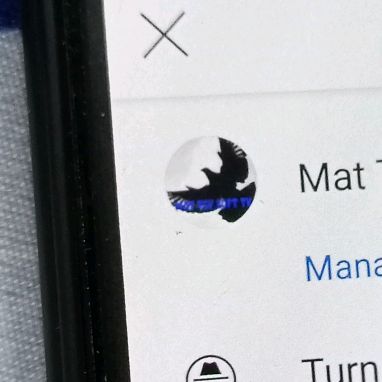 Profile Picture of Steven Siko (@mattevlofttv0) on Tiktok