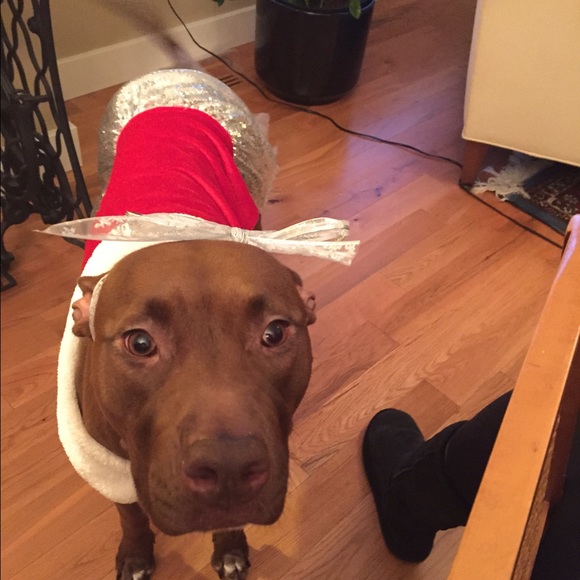 Profile Picture of Calvin Spearing (@calvinhenry) on Poshmark