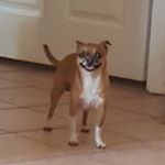 Profile Picture of Dylan DuFour (@dylandufour_20) on Instagram