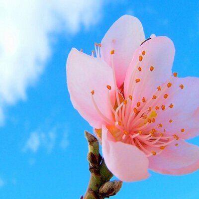 Profile Picture of Andi Hodorowski (@@AndiHodo) on Twitter