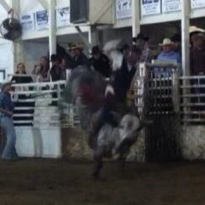 Profile Picture of Derek Hall (@DerekBullRider) on Twitter