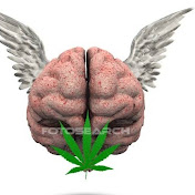 Profile Picture of Christopher Obrien (@ccrocks6655) on Youtube