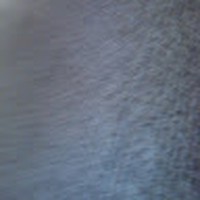 Profile Picture of Fran Carpenter (@fran-carpenter-8) on Quora