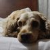 Profile Picture of Martin Put (@Martin-Put) on Facebook