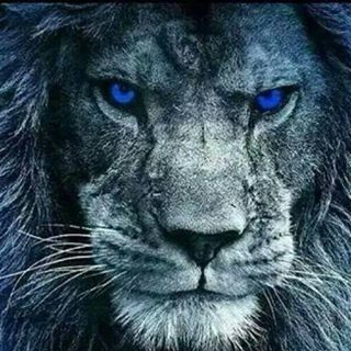 Profile Picture of Patrick Adas (@Patrick-Adas) on Facebook