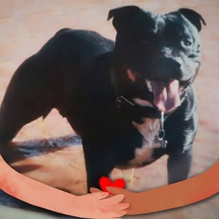 Profile Picture of Heinrich Stuart (@heinrich.stuart) on Instagram