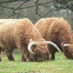 Profile Picture of Eric Chretiennot (@chretiennots) on Myspace