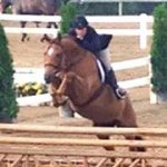 Amanda Lyerly - Instagram Profile Picture of Amanda Lyerly (@ajlyerly) on Instagram