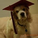 Profile Picture of Bobby Toledo (@toledobobby) on Instagram