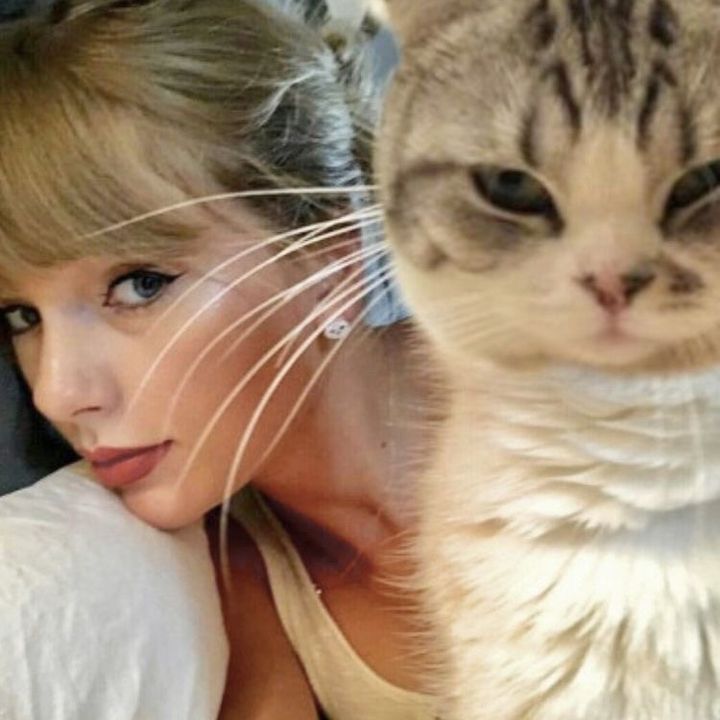 Profile Picture of mi★ (taylors version) (@meredith.nation) on Tiktok