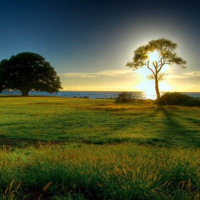 Profile Picture of Sami Daoud (@samidaoud09) on Twitter