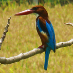 Shakar81 - Flickr Profile Picture of Shakar81 (@shakar81) on Flickr