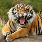 Profile Picture of Erik Fandel (@Erik-Fandel) on Facebook