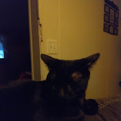 Profile Picture of Kyle Houglind (@kylehouglind9967) on Youtube