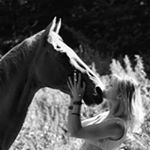 Alina Rosenberger - Instagram Profile Picture of Alina Rosenberger (@vol.alina.vo) on Instagram