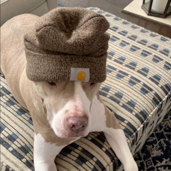 Profile Picture of Austin Maxwell (@amaxwe25) on Poshmark