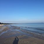 Josephine Köhler - Instagram Profile Picture of Josephine Köhler (@jobiekoe) on Instagram