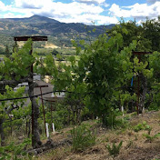 Profile Picture of Albert Sala (@albertsala8803) on Youtube