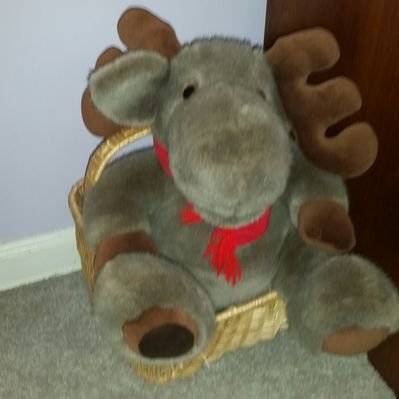 Profile Picture of Mel Moose (@melmoo56) on Twitter