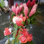 Profile Picture of Thamiel Jean (@Thamiel-Jean) on Facebook