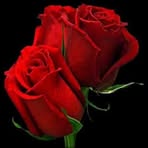 Profile Picture of Jeidy Lastro (@jeidy.lastro) on Facebook