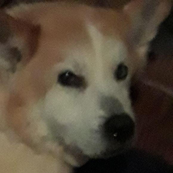 Jackie Gopsill - Poshmark Profile Picture of Jackie Gopsill (@jacks44) on Poshmark