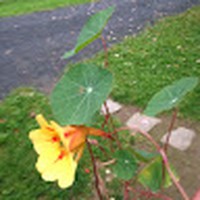 Profile Picture of Whitney Shea (@whitney-shea-7) on Quora