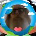 Profile Picture of Bryan  Broadhurst  (@bryan.broadhurst.2023) on Facebook