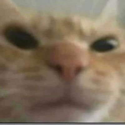 Profile Picture of Tyler Beauregard (@TylerBeauregar8) on Twitter