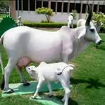 Profile Picture of Adama Tafa Bouyo (@adama.tafabouyo.5) on Facebook