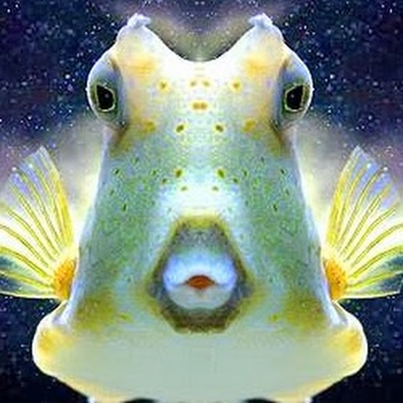 Profile Picture of Angela Fisher (@angelafisher463) on Poshmark