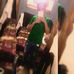 Profile Picture of Toni Ledezma (@toni.ledezma.562) on Facebook
