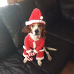 Profile Picture of Adam Radman (@adam_is_spamming) on Instagram