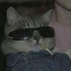 Profile Picture of JuliaSmolck (@@juliasmolck) on Tiktok