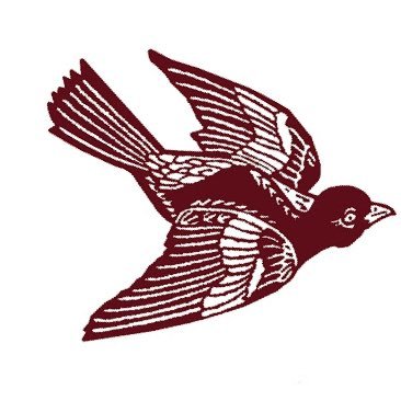 Profile Picture of Brent Wittman (@jonbrent13) on Twitter