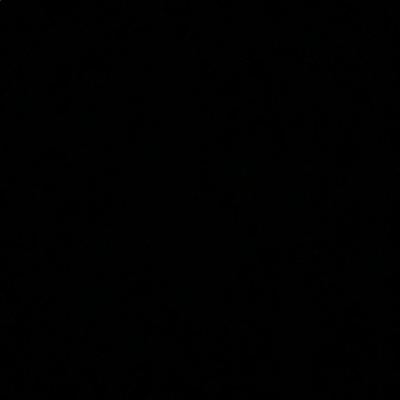 Profile Picture of Sara Heiselt (@sarhei) on Poshmark